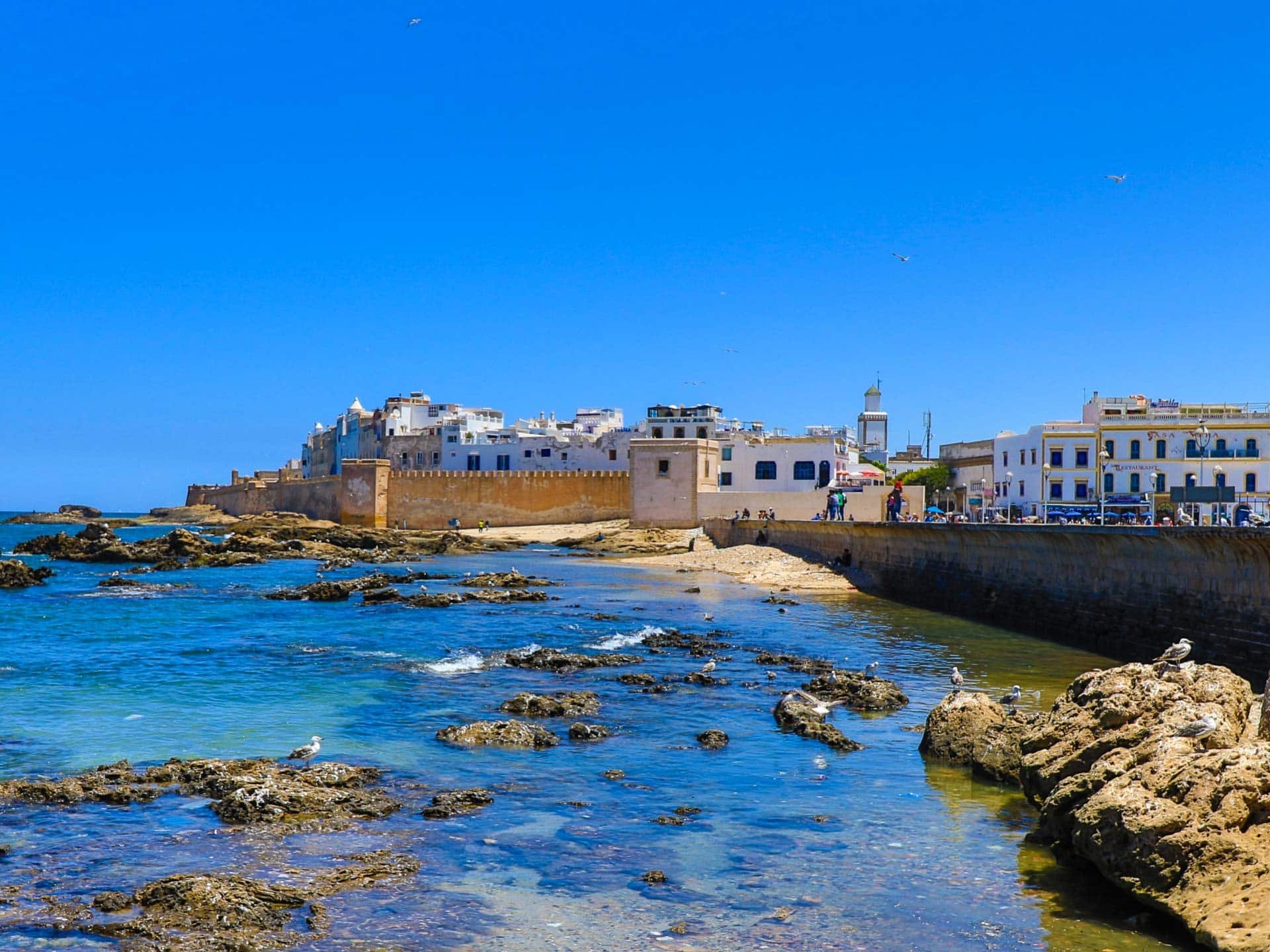 Excursion Essaouira